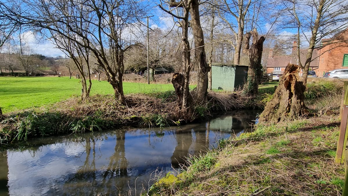 The Mill Meadow Stream