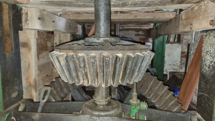 The Stone Nut Gear Wheel