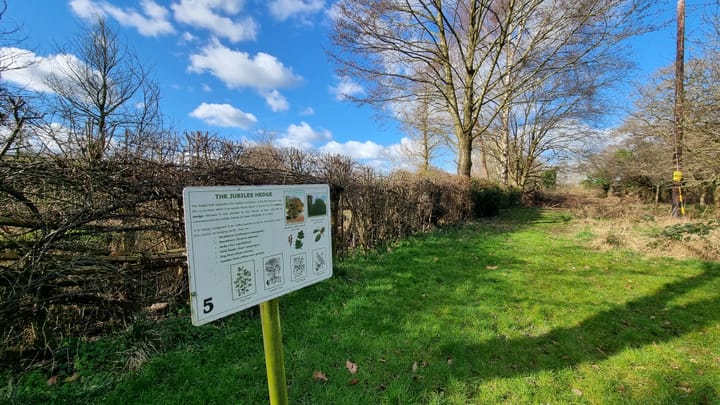 The Jubilee Hedge