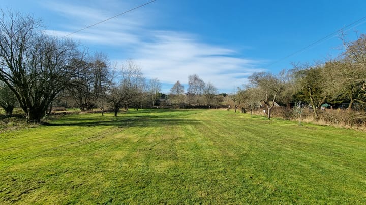 The Mill Meadow